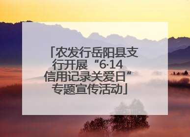 农发行岳阳县支行开展“6·14信用记录关爱日” 专题宣传活动