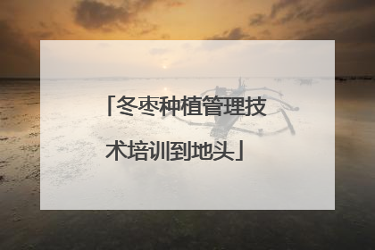 冬枣种植管理技术培训到地头