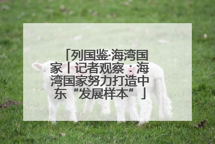 列国鉴·海湾国家丨记者观察：海湾国家努力打造中东“发展样本”