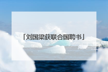 刘国梁获联合国聘书