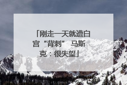 刚走一天就遭白宫“背刺” 马斯克：很失望