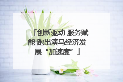 创新驱动 服务赋能 跑出演马经济发展“加速度”