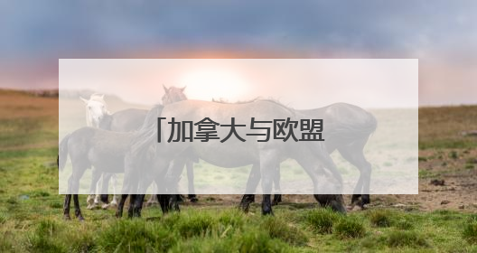 加拿大与欧盟签署防务协议