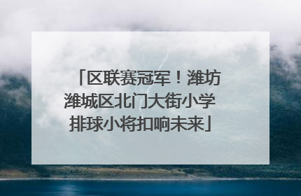 区联赛冠军！潍坊潍城区北门大街小学排球小将扣响未来