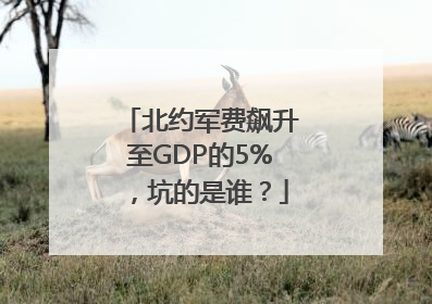 北约军费飙升至GDP的5%，坑的是谁？