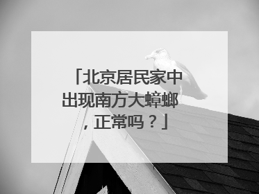 北京居民家中出现南方大蟑螂，正常吗？