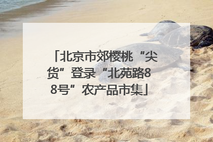 北京市郊樱桃“尖货”登录“北苑路88号”农产品市集