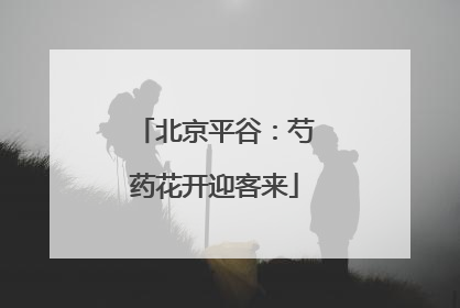 北京平谷：芍药花开迎客来