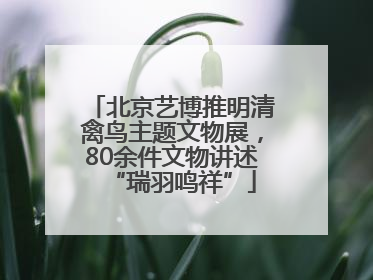 北京艺博推明清禽鸟主题文物展，80余件文物讲述“瑞羽鸣祥”