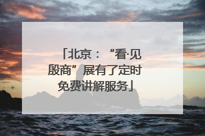 北京：“看·见殷商”展有了定时免费讲解服务
