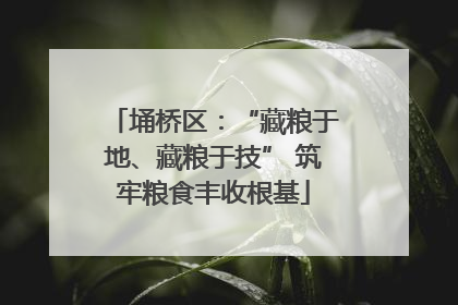 埇桥区：“藏粮于地、藏粮于技” 筑牢粮食丰收根基