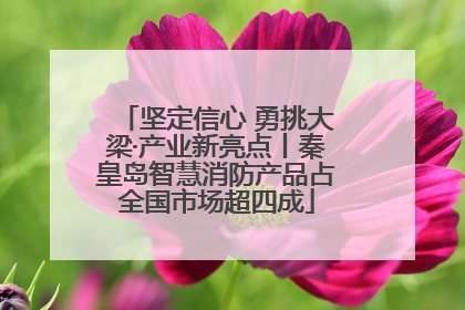 坚定信心 勇挑大梁·产业新亮点丨秦皇岛智慧消防产品占全国市场超四成