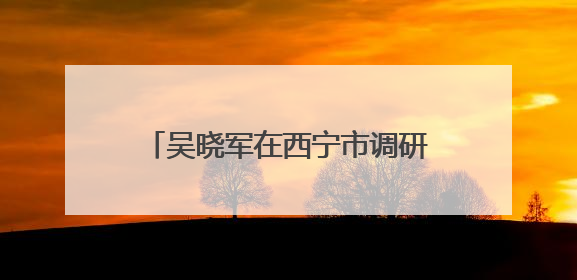 吴晓军在西宁市调研基层党建和学习教育时强调 切实把学习教育成果转化为惠民实效