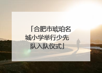 合肥市琥珀名城小学举行少先队入队仪式