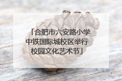 合肥市六安路小学中铁国际城校区举行校园文化艺术节
