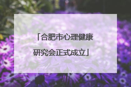 合肥市心理健康研究会正式成立
