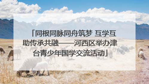 同根同脉同舟筑梦 互学互助传承共融——河西区举办津台青少年国学交流活动