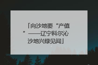 向沙地要“产值”——辽宁科尔沁沙地兴绿见闻