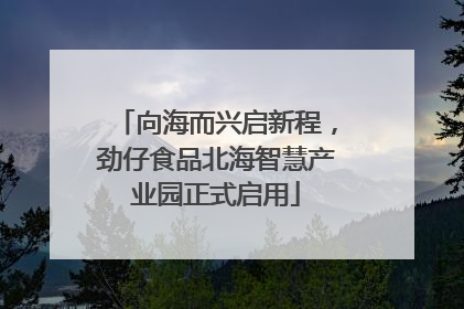 向海而兴启新程，劲仔食品北海智慧产业园正式启用