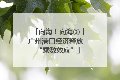 向海！向海③丨广州港口经济释放“乘数效应”