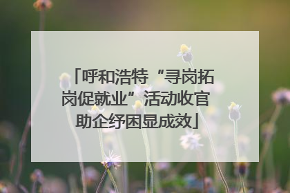 呼和浩特“寻岗拓岗促就业”活动收官 助企纾困显成效