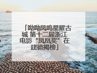 呦呦凤鸣星耀古城 第十二届浙江电影“凤凰奖”在建德揭榜