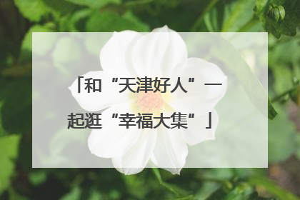 和“天津好人”一起逛“幸福大集”