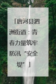 唐河县泗洲街道：青春力量筑牢防汛“安全堤”