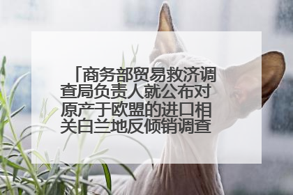 商务部贸易救济调查局负责人就公布对原产于欧盟的进口相关白兰地反倾销调查最终裁定答记者问