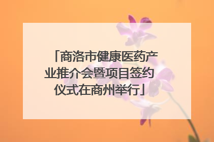 商洛市健康医药产业推介会暨项目签约仪式在商州举行