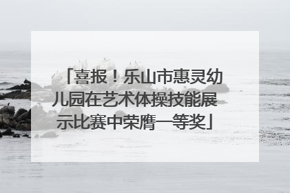 喜报！乐山市惠灵幼儿园在艺术体操技能展示比赛中荣膺一等奖