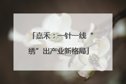 嘉禾：一针一线“绣”出产业新格局