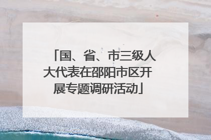 国、省、市三级人大代表在邵阳市区开展专题调研活动