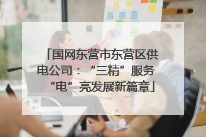 国网东营市东营区供电公司：“三精”服务“电”亮发展新篇章