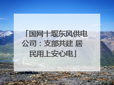 国网十堰东风供电公司：支部共建 居民用上安心电