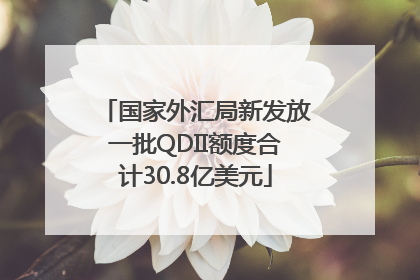 国家外汇局新发放一批QDII额度合计30.8亿美元
