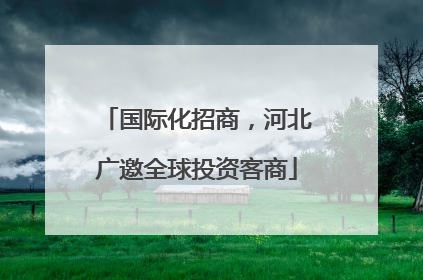 国际化招商，河北广邀全球投资客商