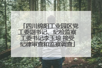 四川绵阳工业园区党工委副书记、纪检监察工委书记李玉琼 接受纪律审查和监察调查