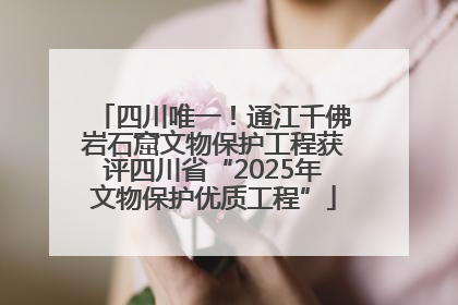 四川唯一！通江千佛岩石窟文物保护工程获评四川省“2025年文物保护优质工程”