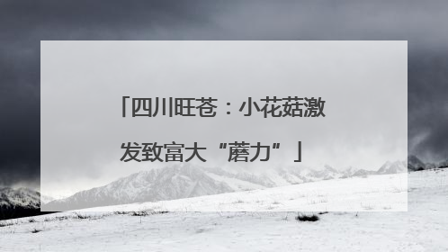 四川旺苍：小花菇激发致富大“蘑力”