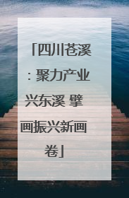 四川苍溪：聚力产业兴东溪 擘画振兴新画卷