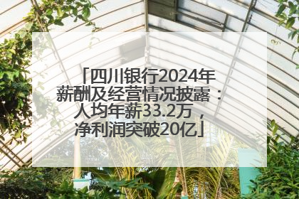 四川银行2024年薪酬及经营情况披露：人均年薪33.2万，净利润突破20亿