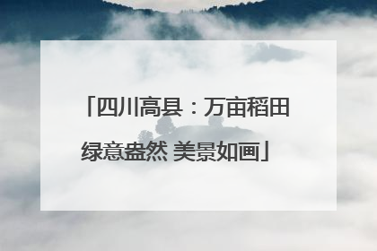 四川高县：万亩稻田绿意盎然 美景如画