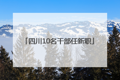 四川10名干部任新职