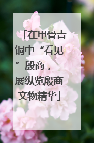 在甲骨青铜中“看见”殷商，一展纵览殷商文物精华