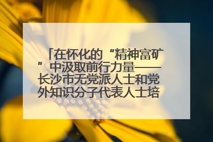 在怀化的“精神富矿”中汲取前行力量——长沙市无党派人士和党外知识分子代表人士培训班在怀化圆满举办