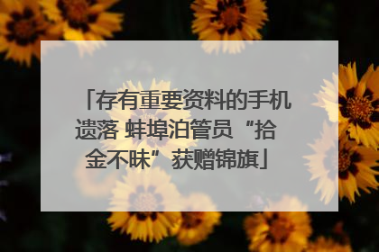 存有重要资料的手机遗落 蚌埠泊管员“拾金不昧”获赠锦旗