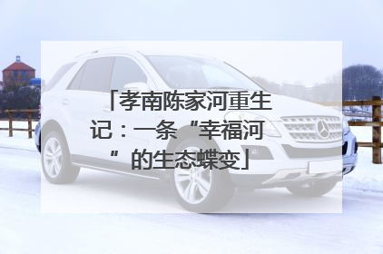 孝南陈家河重生记：一条“幸福河”的生态蝶变