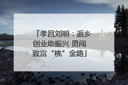 孝昌刘明：返乡创业助振兴 勇闯致富“桃”金路