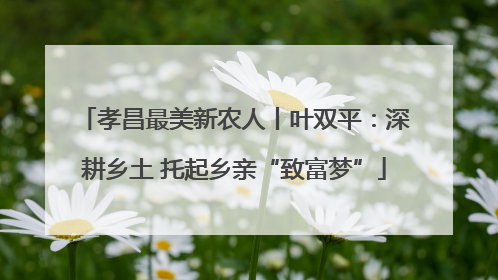 孝昌最美新农人丨叶双平：深耕乡土 托起乡亲“致富梦”